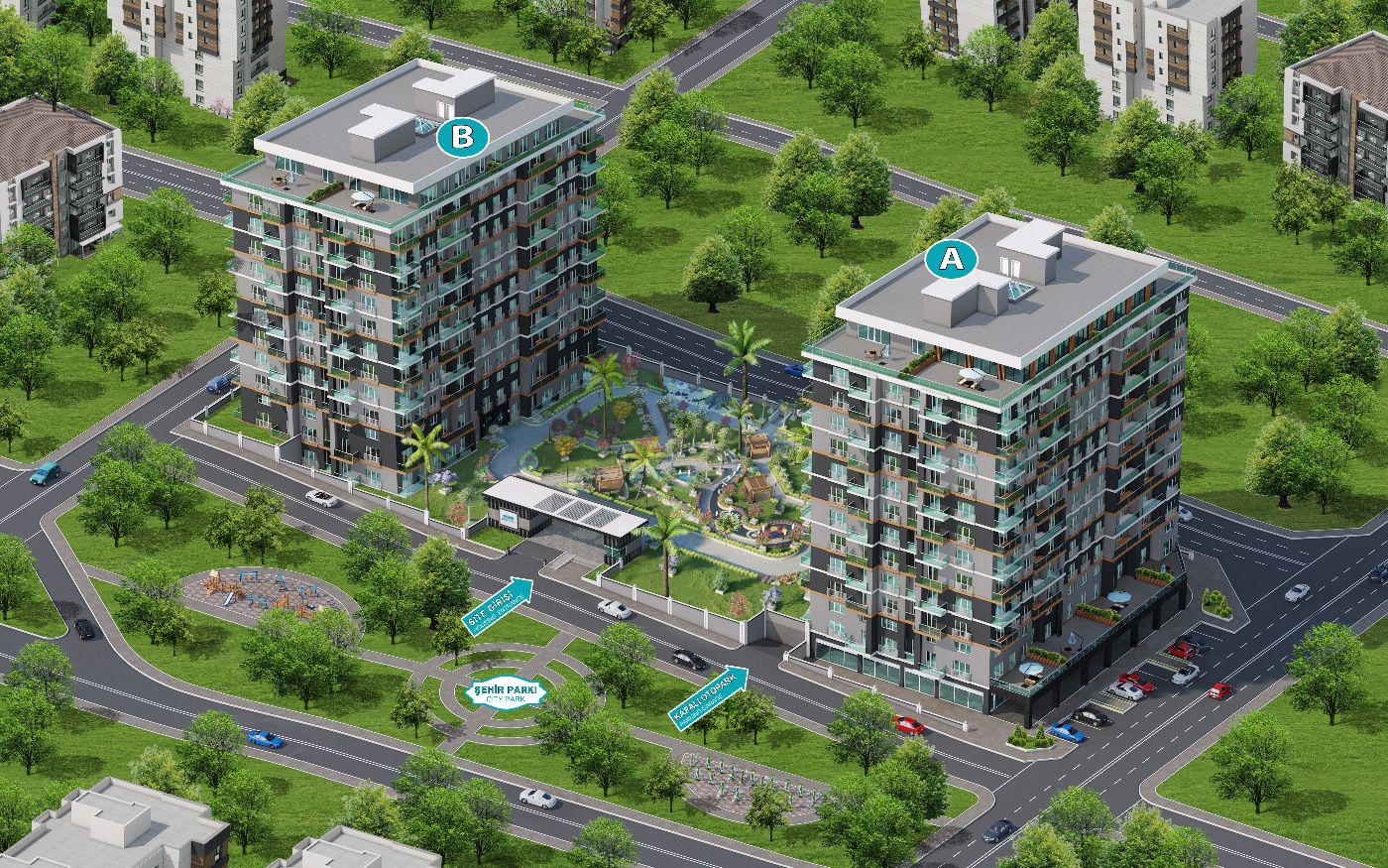 212 Sea Palm