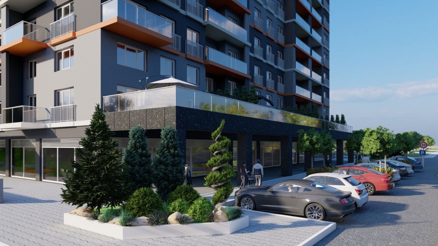 212 Sea Palm