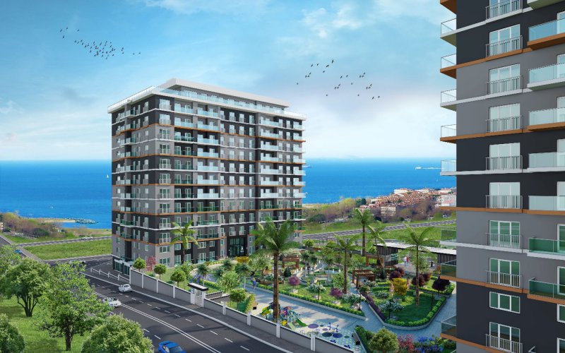 212 Sea Palm